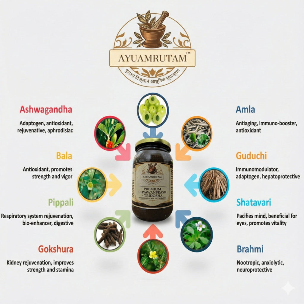 Chyawanprash – Ayurvedic Immunity Booster with Bilona Ghee & Raw Honey | Ayuamrutam